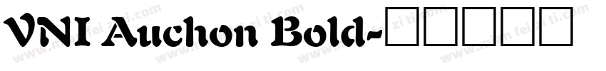 VNI Auchon Bold字体转换